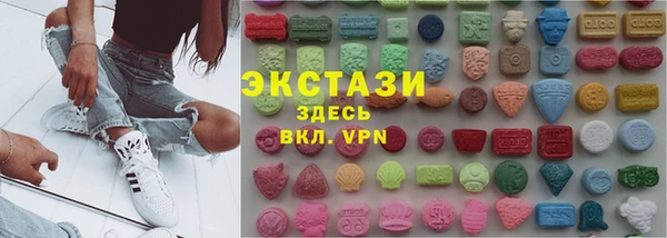 тгк Ельня