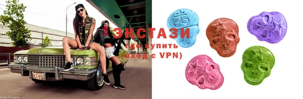 тгк Ельня