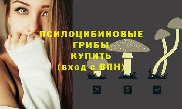 мдма Елабуга