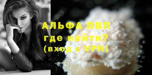 молекула духа Елизово