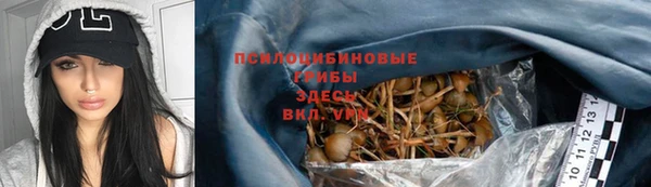 тгк Ельня