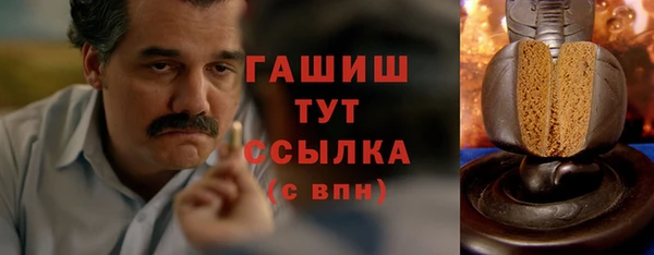 молекула духа Елизово
