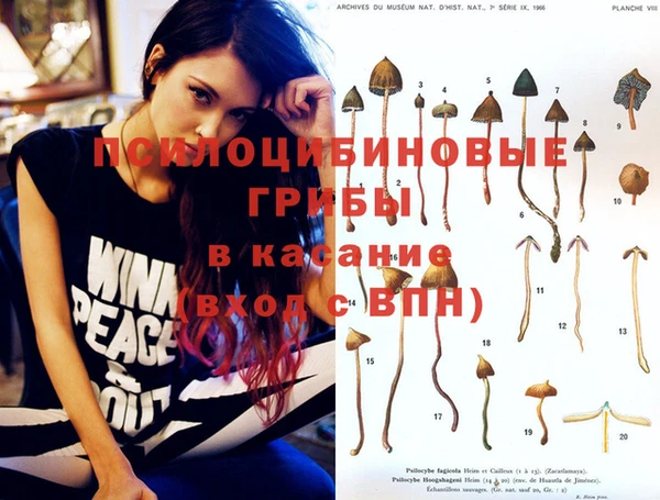 тгк Ельня