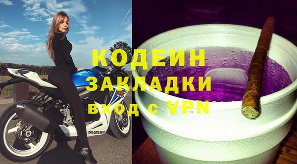 молекула духа Елизово