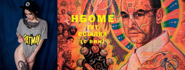 молекула духа Елизово