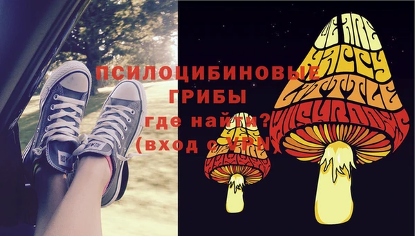 молекула духа Елизово