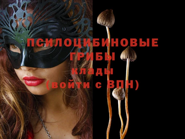 молекула духа Елизово