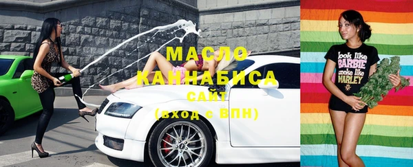 молекула духа Елизово