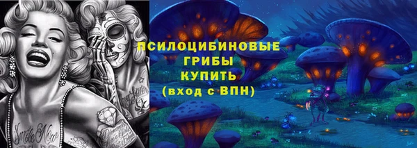 тгк Ельня