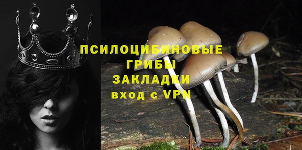 молекула духа Елизово