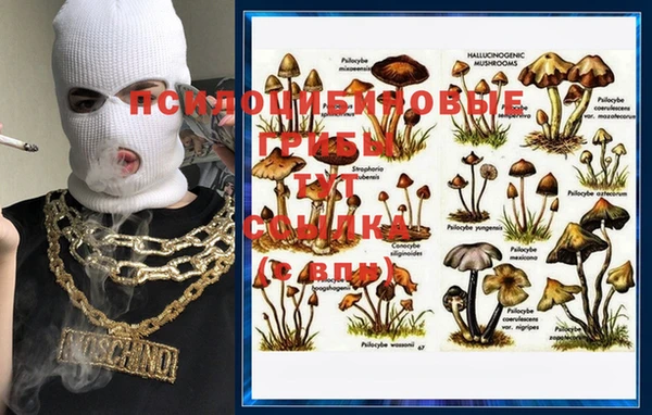 тгк Ельня