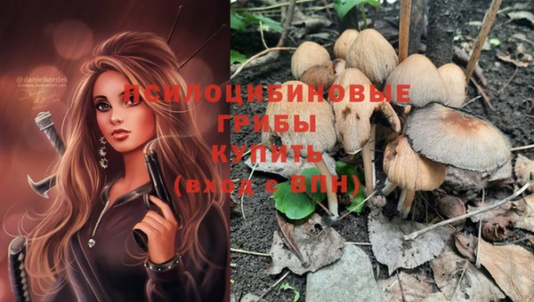 тгк Ельня