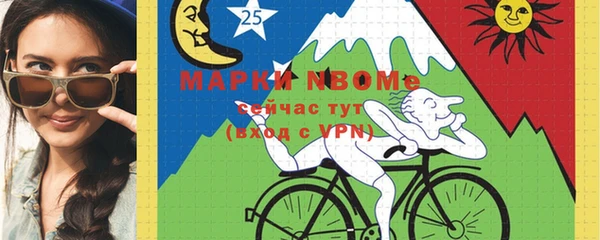 молекула духа Елизово