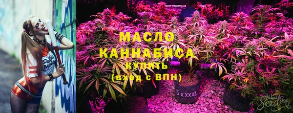молекула духа Елизово