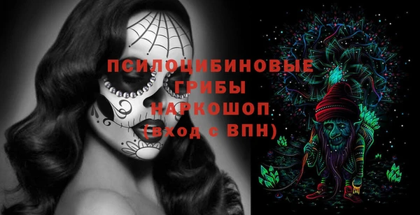 молекула духа Елизово