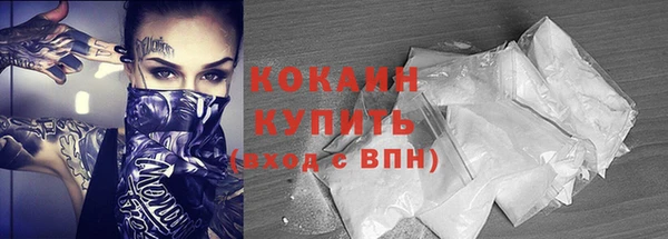 молекула духа Елизово