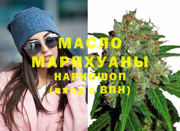 тгк Ельня