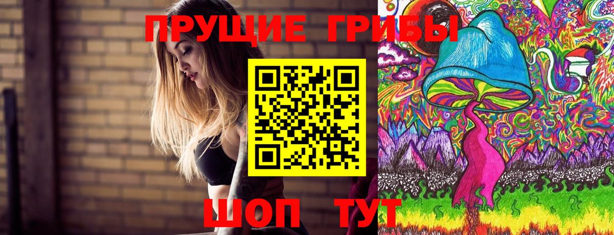 Галлюциногенные грибы Cubensis Омск
