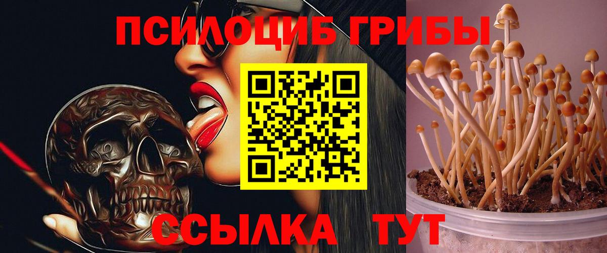 Псилоцибиновые грибы MAGIC MUSHROOMS  Вход с VPN  Галлюциногенные грибы Psilocybe  Омск 